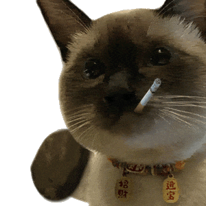 0077eOpegy1htuj2yj004g308c08cwh6.gif
